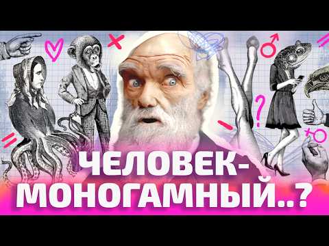 ПОЧЕМУ ВСЕ ИЗМЕНЯЮТ? И можно ли не ревновать (ОкКульт)