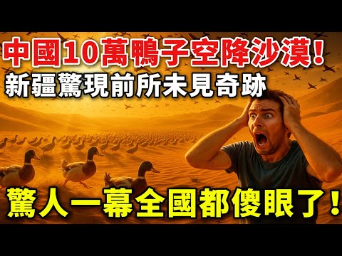 中國10萬鴨子空降沙漠！新疆驚現前所未見奇蹟！驚人一幕全國都傻眼了！