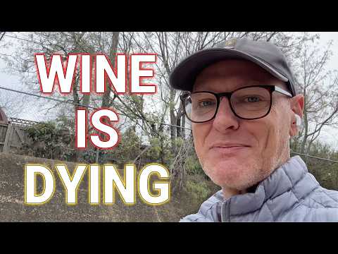 Why the Wine Industry Is Dying and the Impact on Business