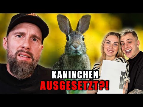 Influencerin setzt ihre Kaninchen im Wald aus?! So dumm kann man nicht sein… | Robert Marc Lehmann