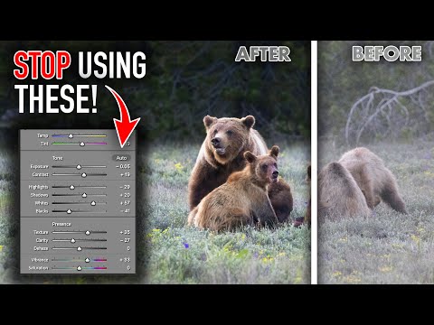 This Editing Secret Will Help You Create BETTER Wildlife Photos (Edit Locally, NOT Globally!)