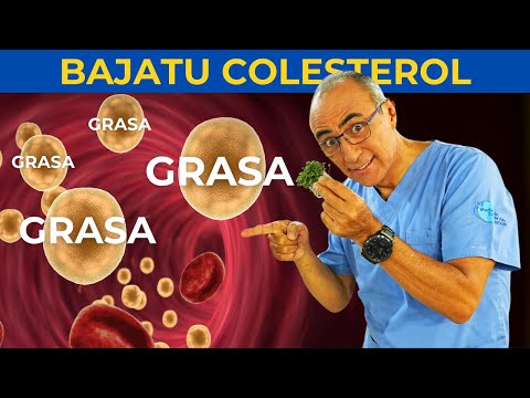 Este Alimento Bajará tu Colesterol: Evita un infarto 🫀