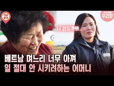 베트남 며느리 너무 아껴 일 절대 안 시키려하는 어머니 [마냥 이쁜 우리맘 34회 ③]