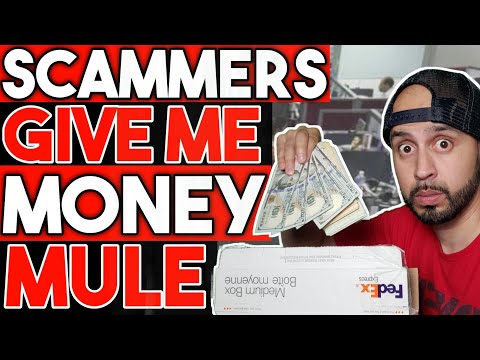This Scam Takes An Unexpected Turn When The Scammers Expose Their Money Mule