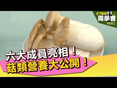 六大成員亮相!菇類營養大公開!【57健康同學會】第861集 2013年