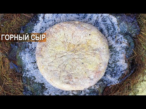 Традиционный Дагестанский овечий сыр. Как делают сыр в горах? Агрофирма Чох.