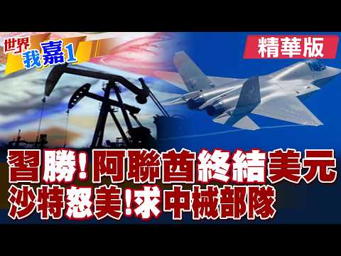 阿聯酋官員指出若缺美元 擬改用人民幣交易?中巴擬簽百億美元國防單 巴鐵中械師正式進沙特?|【#世界我嘉1】精華版@全球大視野Global_Vision