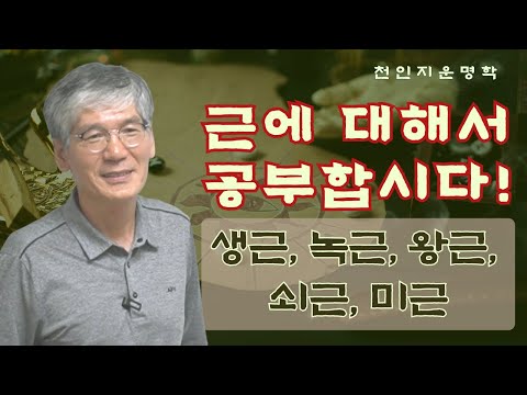 Let's study about roots: raw roots, green roots, strong roots, weak roots