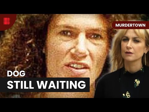 Dog Walker Found Dead Watford Murder Town Case 2000