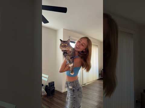 She’s just a noodle #shorts #cat #viral #comedy