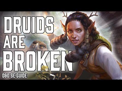 Druid is Broken | Dungeons and Dragons 5e Guide