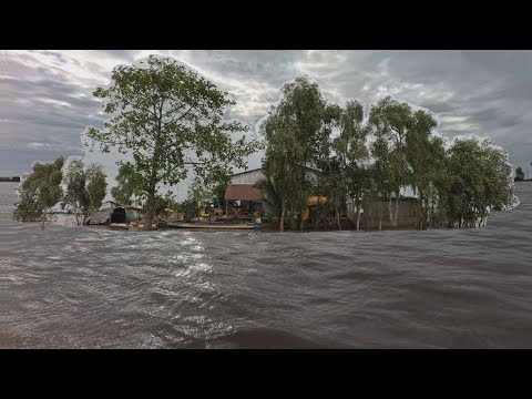 Ngôi nhà biệt lập giữa cánh đồng ngập nước