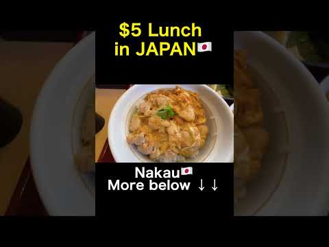 The Lunch of Japanese Salaryman | $5 Lunch at Nakau short | oyakodon