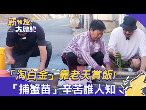 【新台灣大體驗】「淘白金」靠老天賞飯！「捕蟹苗」辛苦誰人知｜廖慶學 2025.07.12 part1