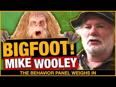 💥HE REALLY SAW BIGFOOT! But Is It THE TRUTH? Body Language Experts Reveal