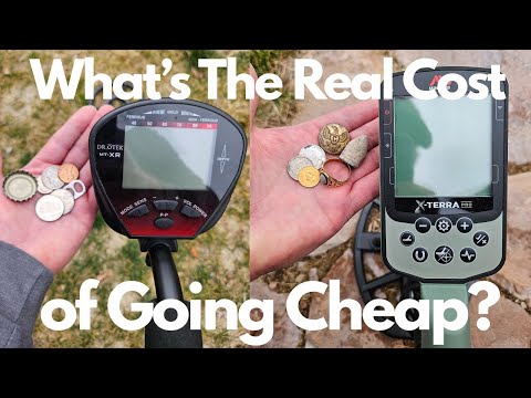 What is the Real Cost of Buying a Cheap Metal Detector?