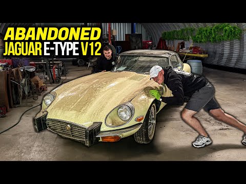 Abandoned Supercar: Jaguar E-Type V12 | First Wash in 15 Years! | Car Detailing Restoration