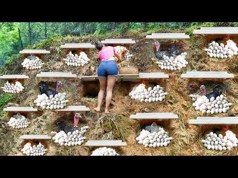 [REWIND TIMELAPSE] -- 315Days Build Many Nest For Hen To Lay Eggs, Harvest A Lot Of Chicken Eggs