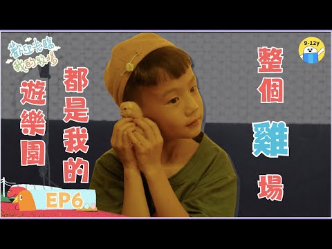 雞🐥整個雞場🐣都是我的遊樂園🎡歡迎光臨我的牧場 EP6｜小公視｜7歲男孩的雞場生活