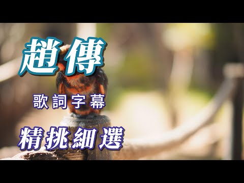 （趙傳）精挑細選（謝謝朋友喜歡）🏄🏽🏊🏽‍♂️🚣🏽