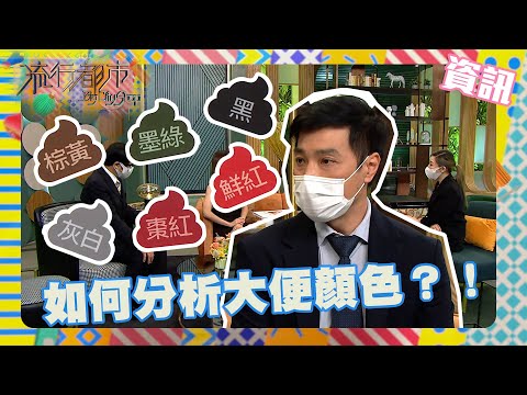 流行都市 ｜ 如何分析大便顏色？！ ｜ 資訊 ｜ 劉卓靈 ｜ TVB綜藝