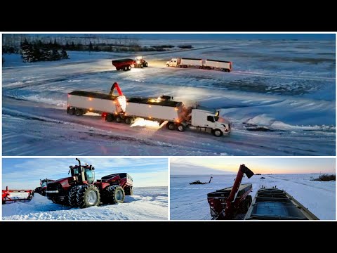 West Farm - Bag Picking 🥶
