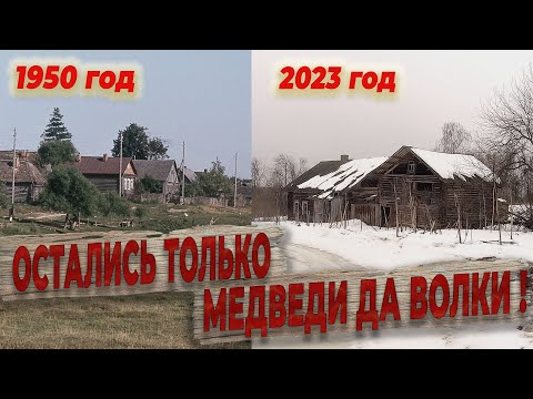 Кругом леса и заброшенная деревня рядом со старым московским трактом ,последние опустевшие дома ,