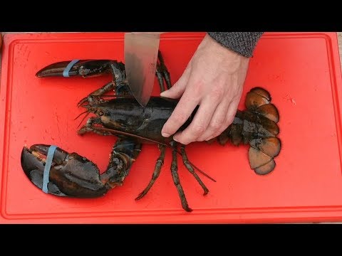 GRAPHIC - Live lobster - 2 Grilled Lobster Recipes