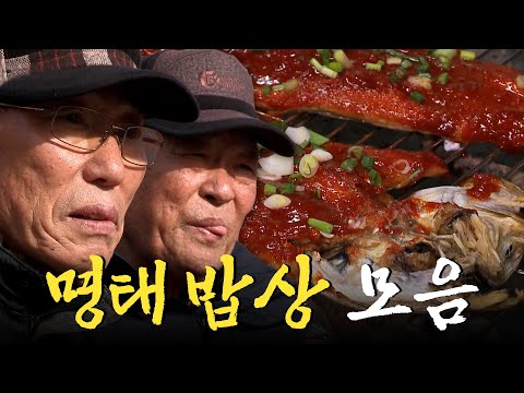 코다리, 북어, 황태, 먹태 등등 수십 가지 이름을 가진 다채로운 명태 밥상 모음집 Korean Food｜팔도밥상🍚 KBS 20231230