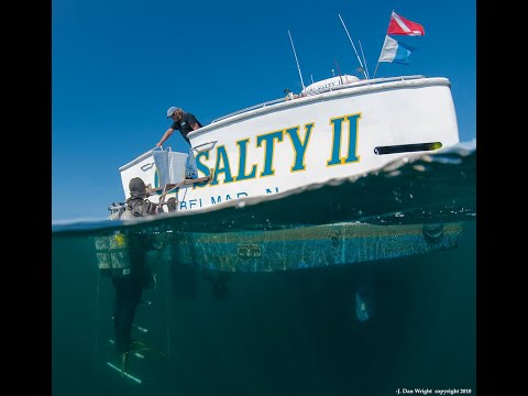 TechDiver Chronicles, episode #5