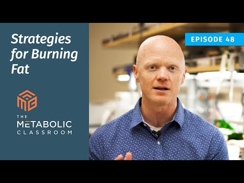 48: Strategies for Fat Burning with Dr. Ben Bikman