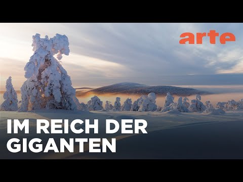 Lappland - Reich der schlafenden Giganten | ARTE Fernweh