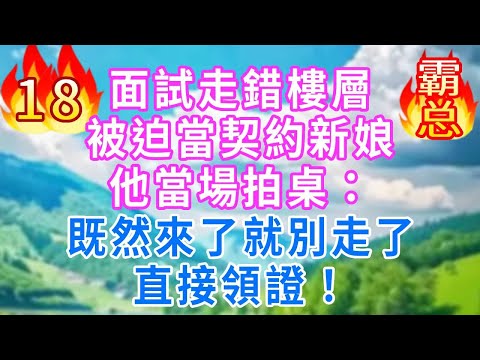 面試走錯樓層被迫當契約新娘，他當場拍桌：既然來了就別走了，直接領證！#爽文 #故事頻道 #言情小說 #故事分享 #一口氣看完 #情感 #心動放映室