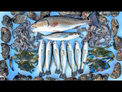 FISH, OYSTERS, SHRIMP, and CRABS Catch and Cook