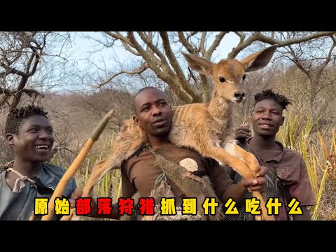 非洲最后原始部落，逮到什么吃什么， 哈扎部落用食盐腌烤肉煮羊汤，吃完午饭出门打野，渴到不行，瓦拉尼原始部落荒野求生，凭借几根吹箭桶穿梭于亚马逊雨林之中#documentary #纪录片 #动物