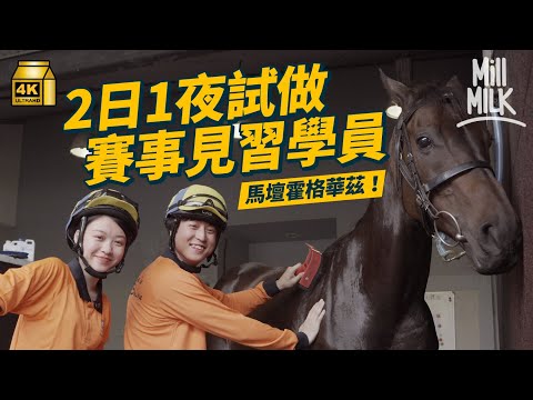 #MM｜2日1夜賽事見習學員生活！凌晨3點起身練馬 照顧馬匹沖涼、餵食、帶馬游水 創校50年培育告東尼、何澤堯等精英運動員 「精英大師」騎師高雅志親授學員｜#試一次 #4K