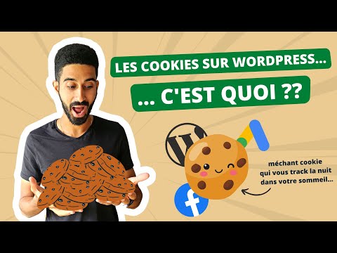 Comprendre les COOKIES sur WordPress… et voir les vôtres !