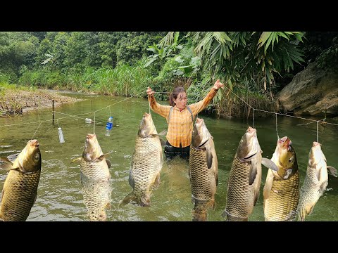 Traditional Fishing Techniques - Catching Big Fish with Many Skills, Building Chicken Coops