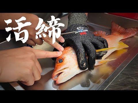 手把手教你活締! 食魚教育活動 看過你會更珍惜食材