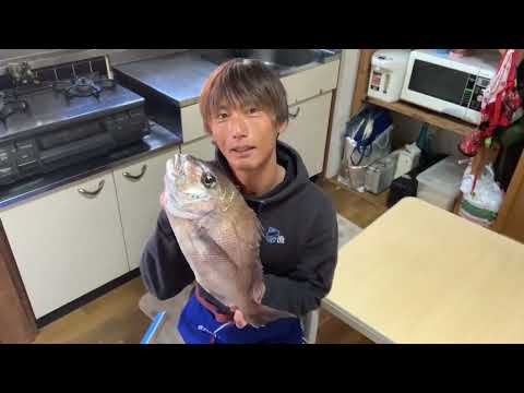 夕食ライブ 2026.1.11 真鯛