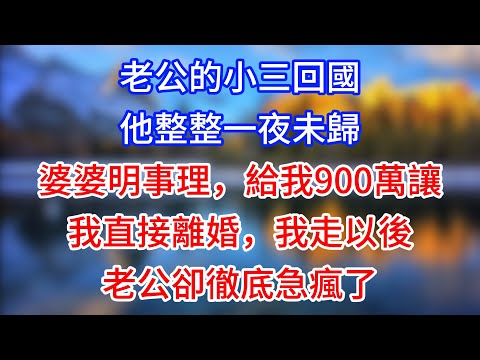 【完結】老公的小三回國，他整整一夜未歸，婆婆明事理，給我900萬讓我直接離婚，我走以後，老公卻徹底急瘋了
