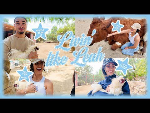 gentle barn w daria + miguel