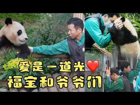 《福宝回国纪：一》回顾福宝和爷爷们互相成就的三年。福宝的童年可以治愈一生。