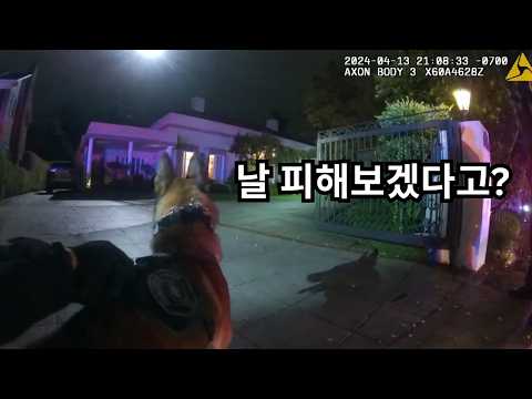 이 사람은 진짜 경찰견을 피할 수 있을 거라 생각 한 걸까?｜경찰 바디캠