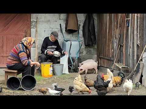 Two Hearts - Rural Life and the Secret of a Happy Old Age