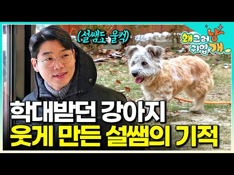 "I've never seen such a happy face before" Teacher Seol rescued a dog from an abuse scene but clo...