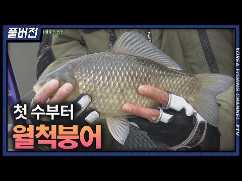 충북 제천의 수로 포인트! 첫 수부터 월척 붕어가 나오는데..