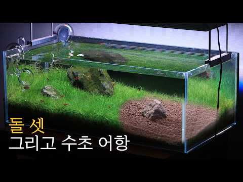 Making a Garden Aquarium, 270 day