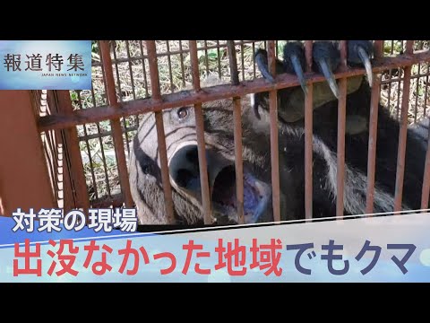 【過去最悪のクマ被害】「緊急事態」市街地でも… すみ分けは可能？ 地域で摸索される対策、クマのエサを山に 10年越しの挑戦【報道特集】｜TBS NEWS DIG