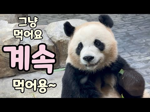 헤헷🐼 후히힛😊💕